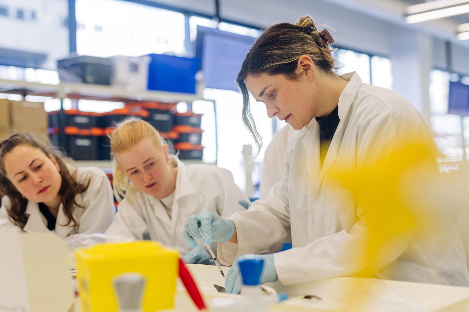 Laboratory work at IMAS