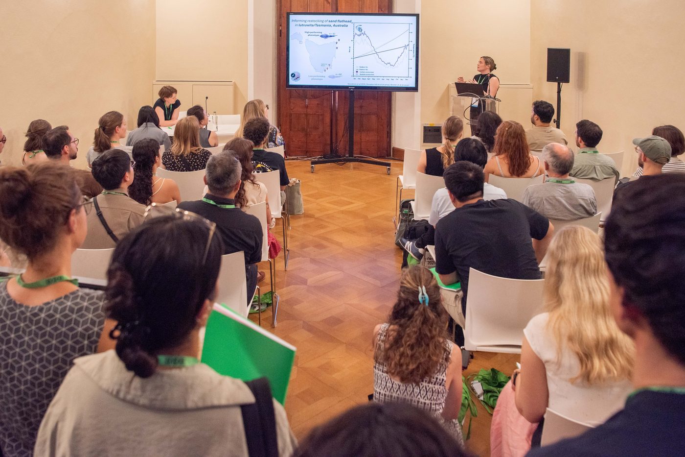 Public talk to a full room